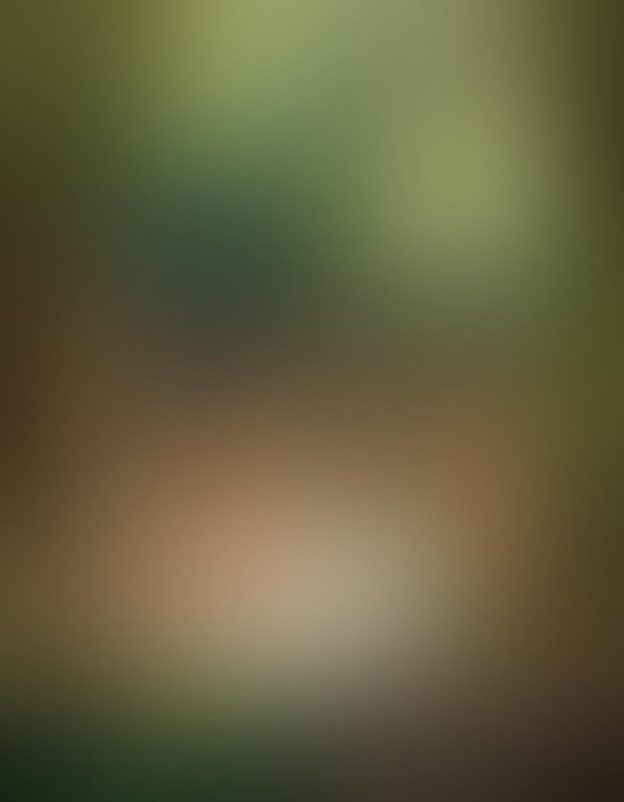 A serene outdoor setting featuring a diverse group of individuals engaged in a joyful and artistic nude photography session. Lush greenery surrounds them, with soft sunlight filtering through the trees, casting gentle shadows. The atmosphere is vibrant and celebratory, emphasizing body positivity and artistic expression. Include soft-focus elements for intimacy, with equipment like cameras and light reflectors subtly placed in the background. super-realistic. warm colors. natural setting.